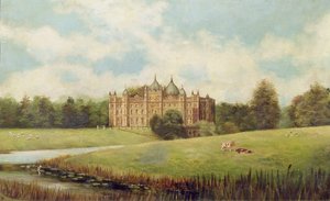 Meadows